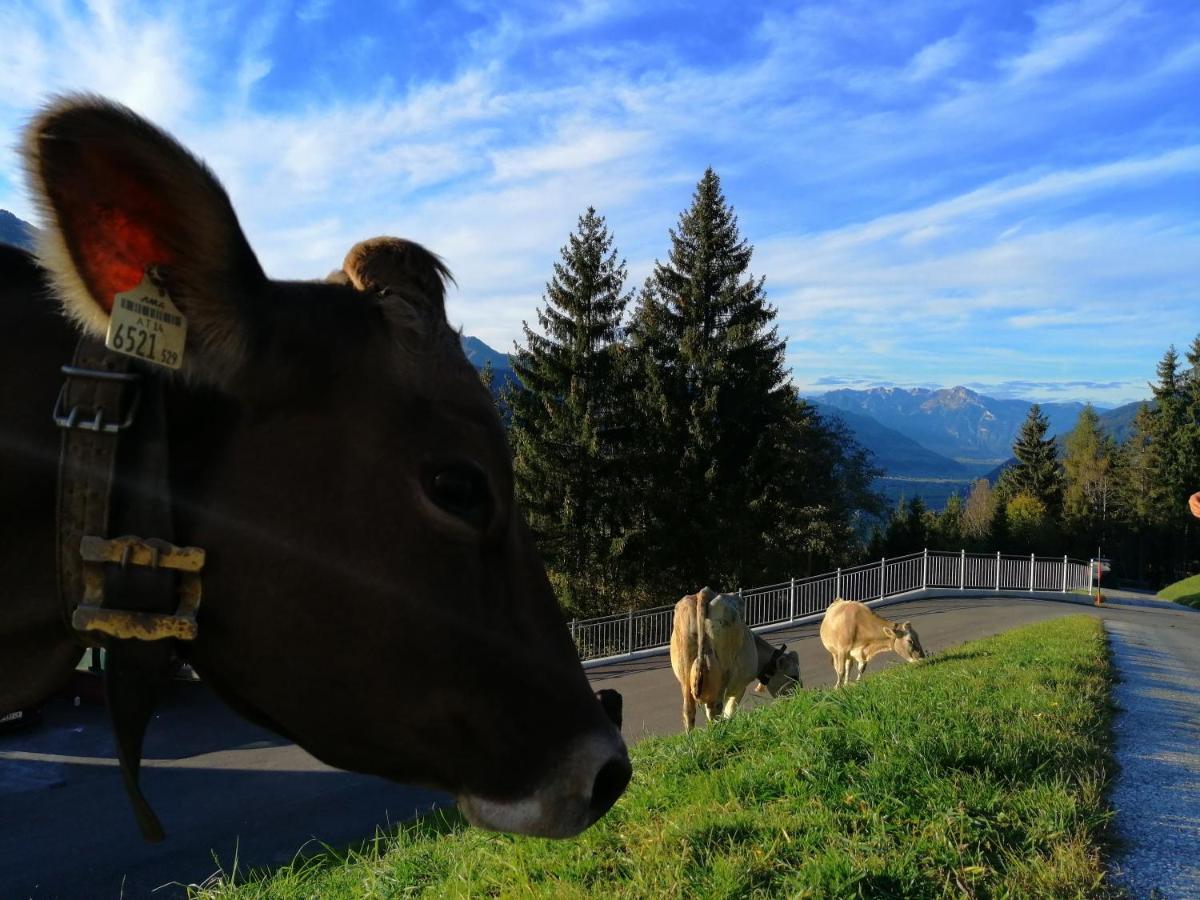 Apartment Panorama Rohrberg ภายนอก รูปภาพ